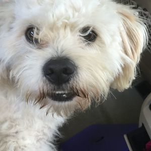 Meet your Posher, Katelyn